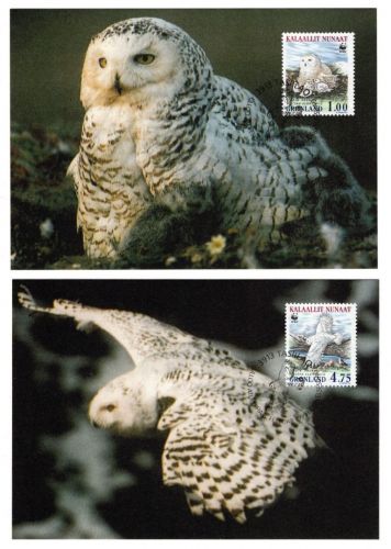 Grönland WWF MiNr. 331-334 Schneeeule 1999 Satz auf 4 Maximumkarten Tiere