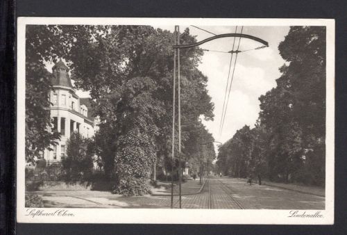 AK Cleve (Kleve) NRW um 1920 Lindenallee