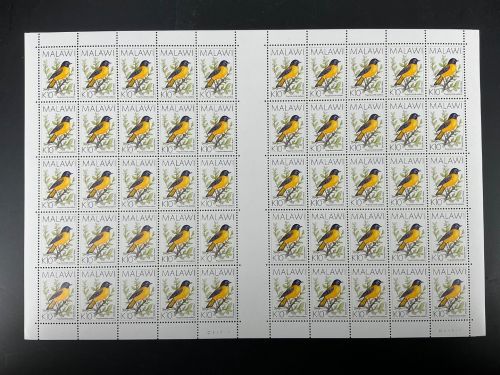 Malawi MiNr. 649 Rotkehlchen 1994: kompletter Bogen ! postfrisch Tiere