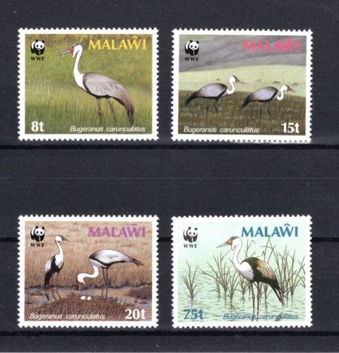 Malawi WWF MiNr. 477-480X Klunkerkranich, 4 Werte, Satz postfrisch Tiere