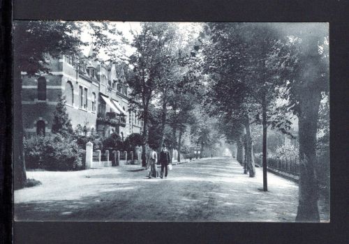 AK Cleve (Kleve) NRW 198 Partie an der Tiergartenstrasse