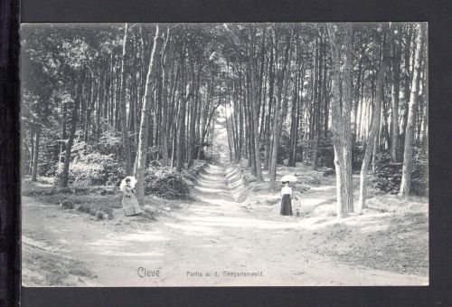AK Cleve (Kleve) NRW 1908 Partie am Tiergartenwald