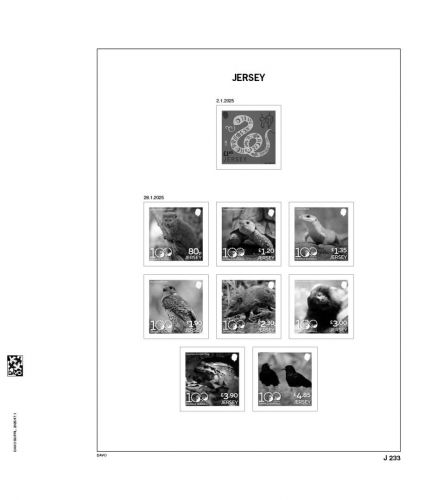 DAVO Jersey Vordrucke Luxus 2025 DV4555 Neuware