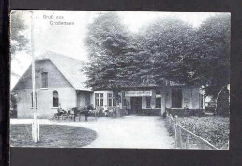 AK Großensee, Holstein 1920 Gasthof zum goldenen Stern, Fr, Niemeier