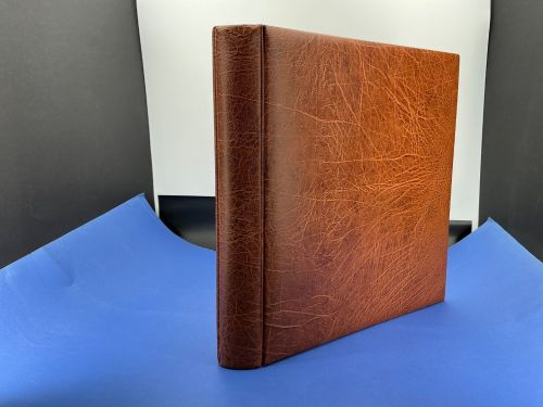 Michel Ringbinder Braun neuwertig