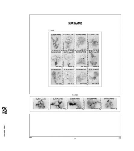 DAVO Surinam Vordrucke Luxus 2025 DV1155 Neuware