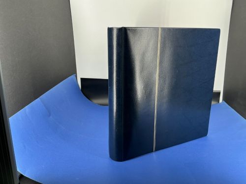 Safe "Skai" Ringbinder Blau unwattiert gebraucht