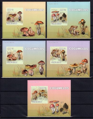 Guinea-Bissau MiNr. 4623-4627 als Einzelblocks Karton postfrisch Pilze