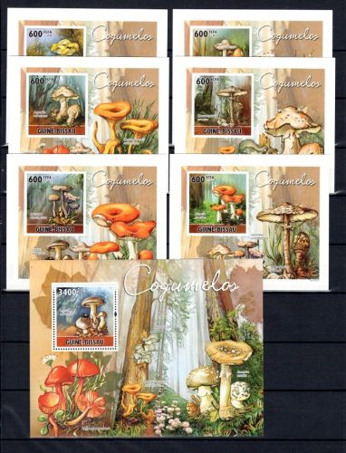 Guinea-Bissau MiNr. 5159-5164 als EB Karton +Bl. 885 postfrisch Pilze