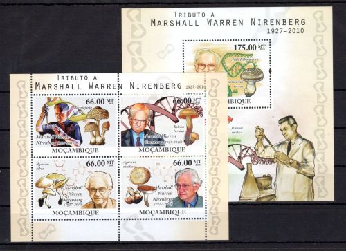 Mosambik MiNr. 4240-4243 postfrisch Pilze