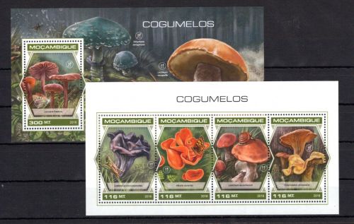 Mosambik MiNr. 9754-9757 + Block 1391 postfrisch Pilze