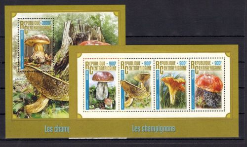 Zentralafr. Republik MiNr. 6165-6168 + Block 1455 postfrisch Pilze