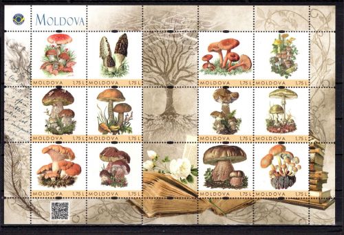 Moldawien personal. Marken MiNr. 935 postfrisch Pilze
