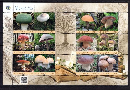 Moldawien personalisierte Marken MiNr. 935 postfrisch Pilze