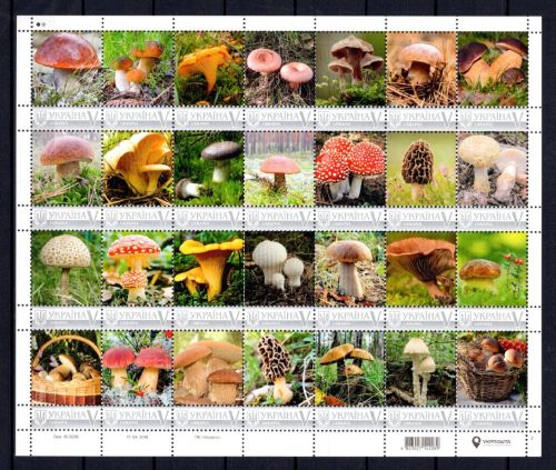 Ukraine person. Marken MiNr. 1600 II postfrisch Kleinbogen, Pilze