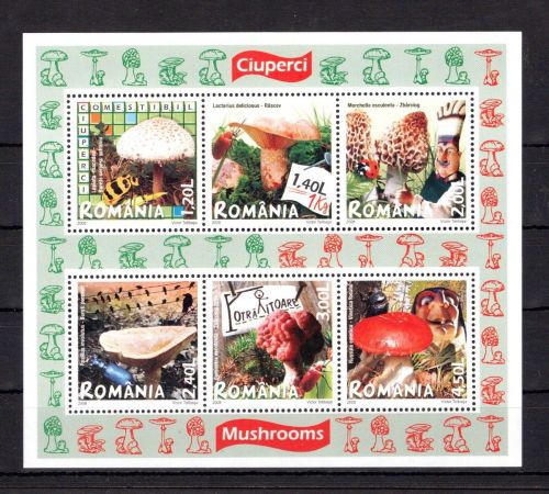 Rumänien MiNr. Block 417 postfrisch Pilze