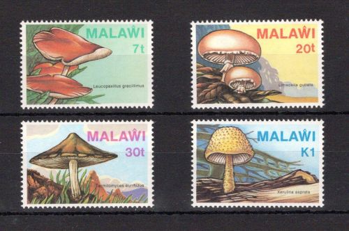 Malawi MiNr. 441-444 postfrisch Pilze