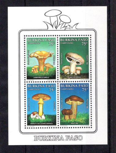 Burkina Faso MiNr. Block 134 postfrisch Pilze