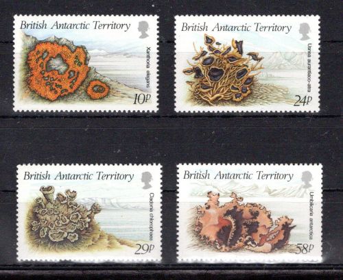 Brit. Antarktis Gebiete MiNr. 152-155 postfrisch Pilze