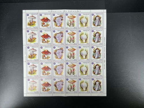 Paraguay ZD-Bogen MiNr. 3950-3955 postfrisch senkr. gefaltet, Pilze