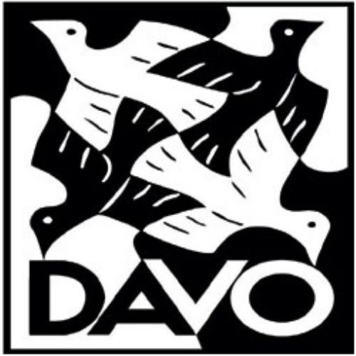 DAVO USA Vordrucke Regular 2025 DV8475 Neuware