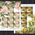 Ukraine 2018 MiNr. 1700-1703 Kleinbogen-Satz postfrisch Blüten Blumen Flowers