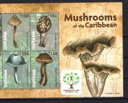 Guyana MiNr. 8222-8231 Kleinbogen und Block 842-843 postfrisch Pilze