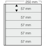 Safe Garant Einsteckblätter - Alle Varianten hier anklicken (5er Pack) Neu