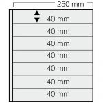 Safe Garant Einsteckblätter - Alle Varianten hier anklicken (5er Pack) Neu