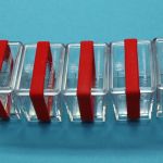 Bund 2017 5x 5 Euro Polymerring Tropische Zone (A,D,F,G,J) PP