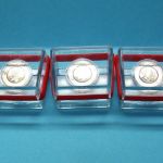 Bund 2017 5x 5 Euro Polymerring Tropische Zone (A,D,F,G,J) PP