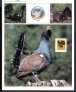 Schweiz Medaillenblatt Tiere der Heimat Auerhahn Medaille Feinsilber