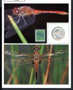 Schweiz Medaillenblatt Tiere der Heimat Libelle Medaille Feinsilber