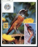 Schweiz Medaillenblatt Tiere der Heimat Gartenrotschwanz Medaille Silber