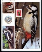 Schweiz Medaillenblatt Tiere der Heimat Buntspecht Medaille Feinsilber