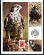 Schweiz Medaillenblatt Tiere der Heimat Wanderfalke Medaille Feinsilber