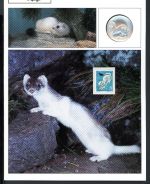 Schweiz Medaillenblatt Tiere der Heimat Hermelin Medaille Feinsilber