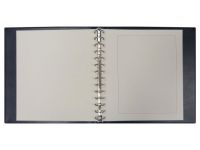 Safe "Yokama" Ringbinder Grün Nr. 773 neuwertig
