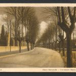 AK Anrath Kreis Viersen um 1912 Baumallee Obere Bahnstrasse