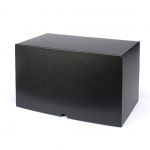 Leuchtturm Archivbox LOGIK für 20 x dt. 20 €/25 € KMS 367870 Neu