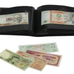 Safe Banknotenalbum Blau "Standard" Nr. 4139 Neu