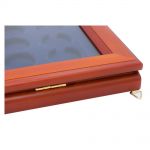 Safe Münzen-Vitrine mit rd. Vertiefungen für 35 Münzen bis 30 mm Ø Nr. 5849 Neu