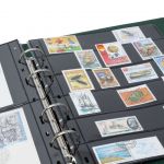 Leuchtturm Ringbinder/ Kassette Grün Optima F 312210 Neu