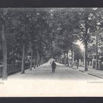 AK Cleve (Kleve) NRW 1906 Tiergartenstraße