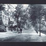 AK Cleve (Kleve) NRW 198 Partie an der Tiergartenstrasse