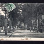 AK Cleve (Kleve) NRW 1908 Tiergartenstrasse