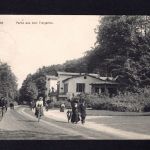 AK Cleve (Kleve) NRW 1912 Partie aus dem Tiergarten, Stahlbrunnen
