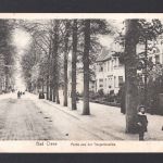 AK Cleve (Kleve) NRW 1917 Partie aus der Tiergartenallee
