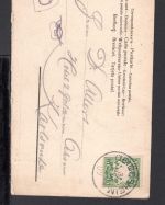 AK Deidesheim 1904 Stadtler´s Winzerzug