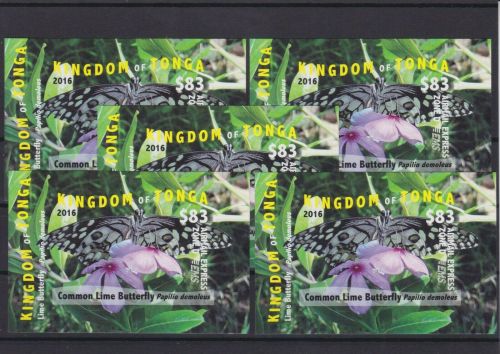 Tonga 5 x Block 93 U postfr./mnh Schmetterlinge butterflies ungez. IMPERF.